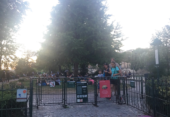 パリ　公園　ポンヌフ　ピクニック